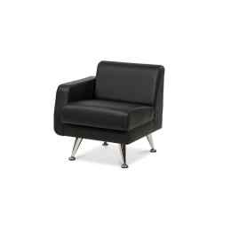 Секция Lion 1R